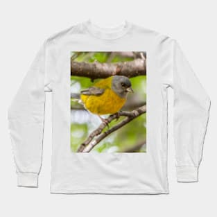 Bird life in Patagonia. Long Sleeve T-Shirt